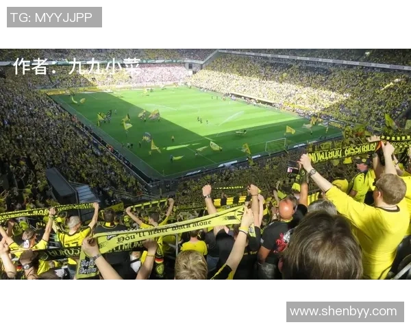 以拥有最多足球明星的城市为核心探秘全球顶级足球人才聚集现象 以拥有最多足球明星的城市为核心探秘全球顶级足球人才聚集现象