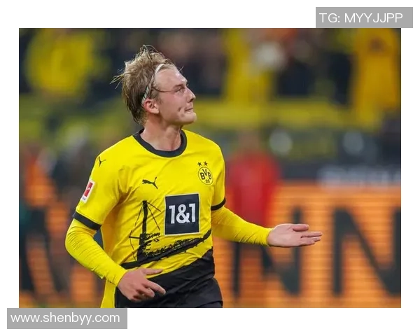 最帅足球球星布兰特的个人魅力与球场表现全解析